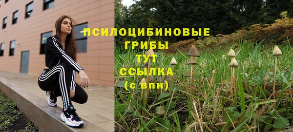 spice Арсеньев