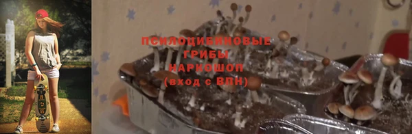 spice Арсеньев